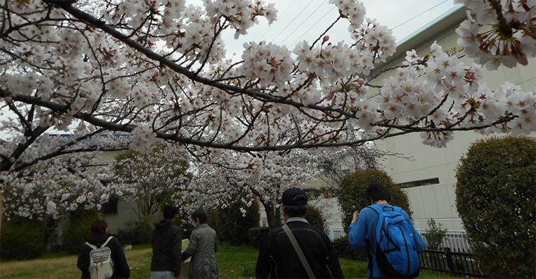 木曜ホビー・花見